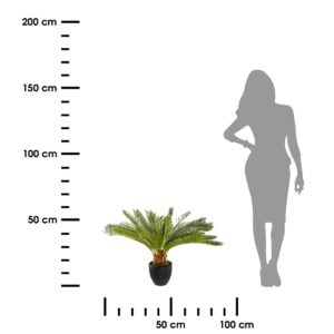 drzewko-palmowe-w-doniczce-68-cm-2.jpg