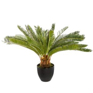 drzewko-palmowe-w-doniczce-68-cm.jpg